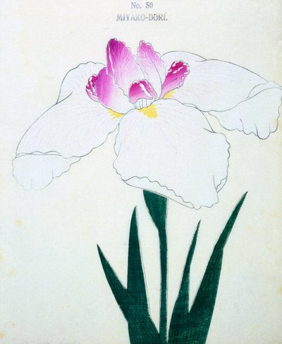 Miyako-Dore, Nr. 50, 1898 von Japanese School