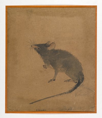Maus von Japanese School
