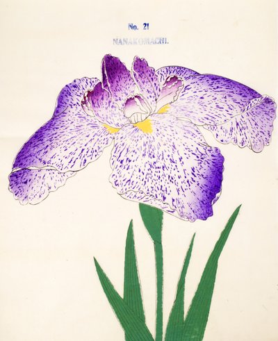 Nanakomachi, Nr. 21, 1898 von Japanese School