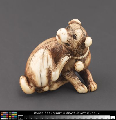 Netsuke modelliert als Hund, der sich am Hals kratzt von Japanese School