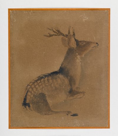 Liegender Hirsch von Japanese School