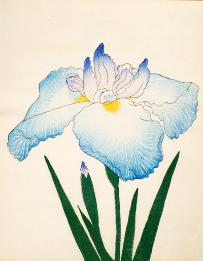 Sazanami, Nr. 68, 1890 von Japanese School