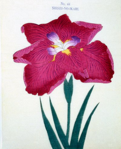 Shishi-no.-Ikari, Nr. 44, 1898 von Japanese School