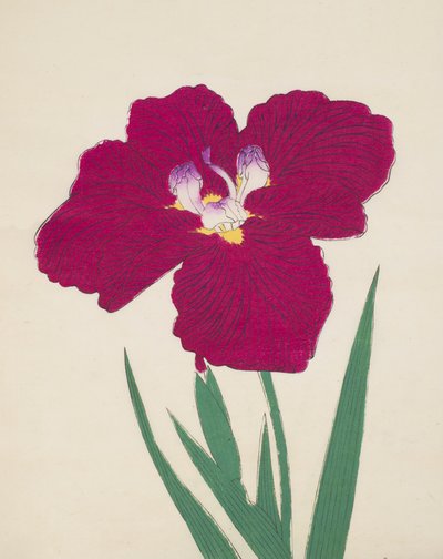 Tai-Hei-Raku, Nr. 18, 1890 von Japanese School