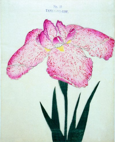 Tanka-no.-Koe, Nr. 15, 1898 von Japanese School