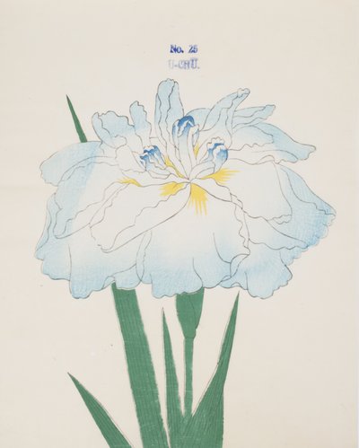 U-Chu, Nr. 25, 1898 von Japanese School