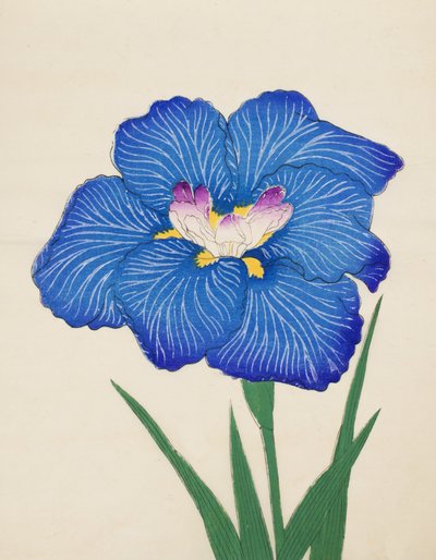 Ushio-no.-Kemuri, Nr. 47, 1898 von Japanese School