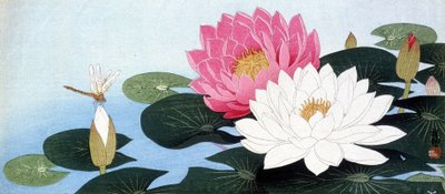 Seerosen und Libelle - Japanischer Druck von Japanese School