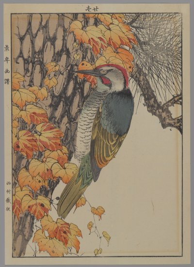 Specht, 1892 von Japanese School
