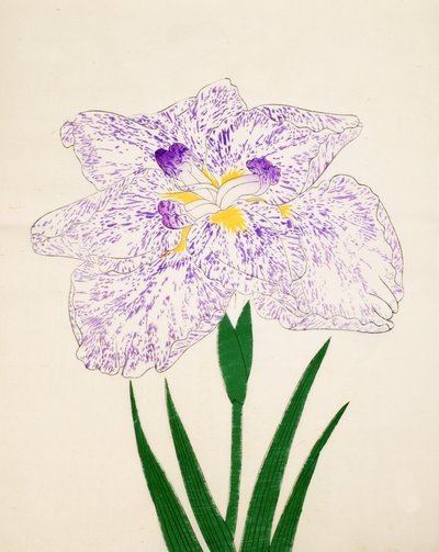 Yamato-Nishiki, Nr. 31, 1890 von Japanese School