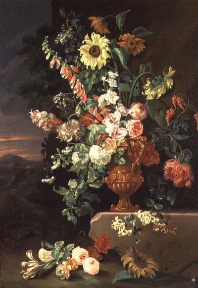 Sonnenblumen, Fingerhüte usw. von Jean Baptiste Monnoyer