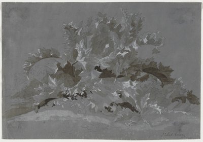 Studie von Unkraut von Jean Antoine Linck