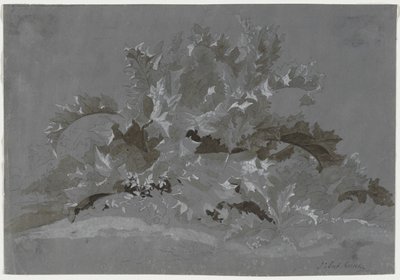 Studie von Unkraut von Jean Antoine Linck