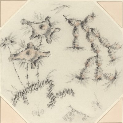 Bambusblumen und Kaktus von Jean Baptiste Pillement
