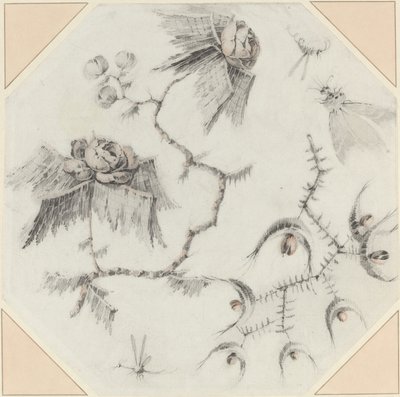 Fantasievolle Blumen und Käfer von Jean Baptiste Pillement
