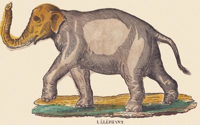Der Elefant, ca. 1840-1852 von Jean Baptiste Thiebault