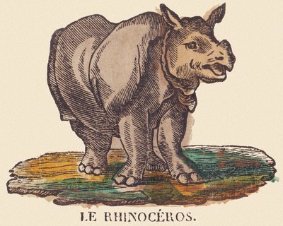 Das Nashorn, ca. 1840-1852 von Jean Baptiste Thiebault