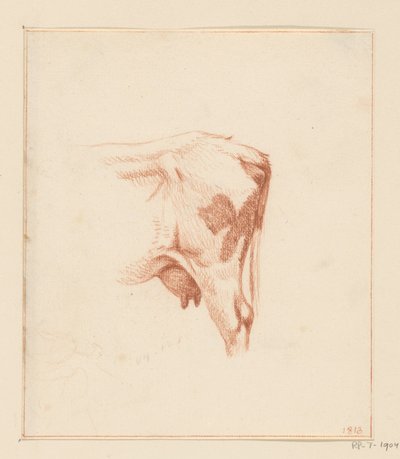 Hinterbeine einer Kuh von Jean Bernard