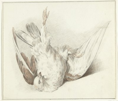Tote Taube von Jean Bernard