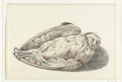 Tote Eule von Jean Bernard