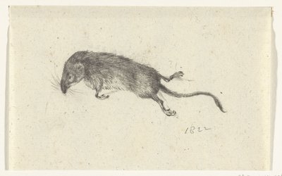 Tote Maus von Jean Bernard