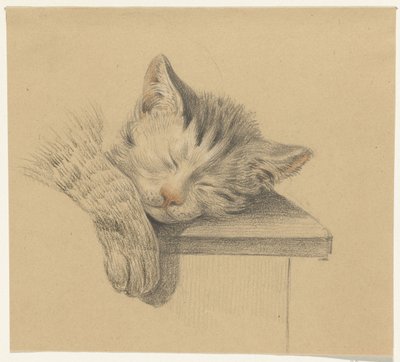 Kopf und Pfote einer schlafenden Katze von Jean Bernard
