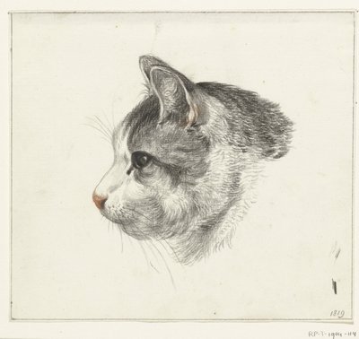 Kopf einer Katze, nach links von Jean Bernard