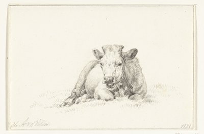 Liegende Kuh, von vorne von Jean Bernard