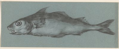 Fisch, nach links von Jean Bernard