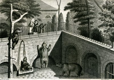 Bärenhöhle in einem Zoo von Jean Charles Werner