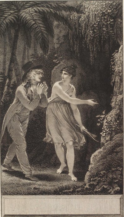 Der Indianerstamm: oder, Edward und Stellina von Jean Godefroy