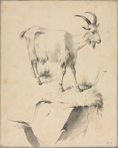 Studie einer Ziege von Jean Jacques de Boissieu
