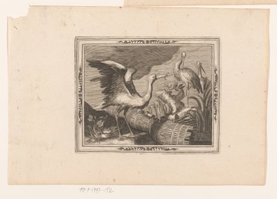Störche (Tierdarstellungen) von Jean Leclerc