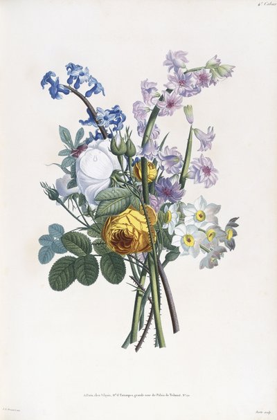 Narzissen, Rosa, Hyazinthe, 1805 von Jean Louis Prevost