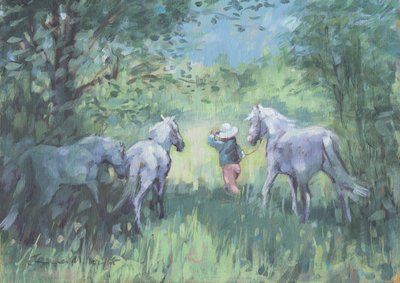 Sommerponys von Jennifer Wright