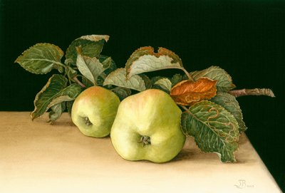 Bramleys von Jenny Barron