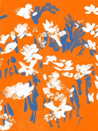 Mandarinenwiese von Jenny Frean