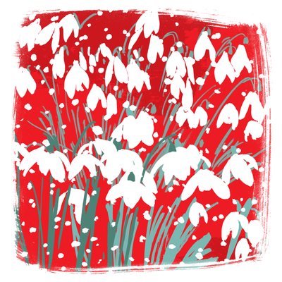 Schneeglöckchen von Jenny Frean