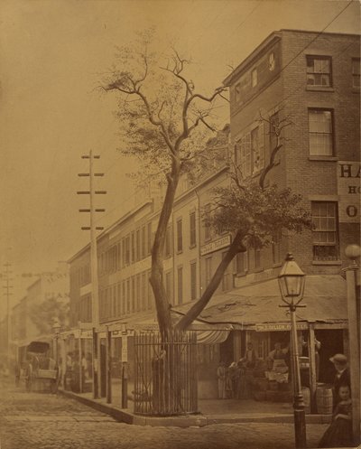 Der Stuyvesant-Birnbaum von Jeremiah Gurney