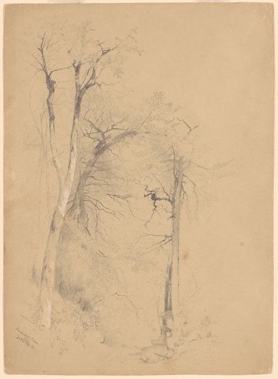 Kauterskill-Schlucht von Jervis McEntee