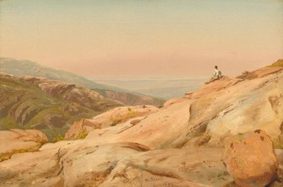 Mount Desert Island, Maine von Jervis McEntee