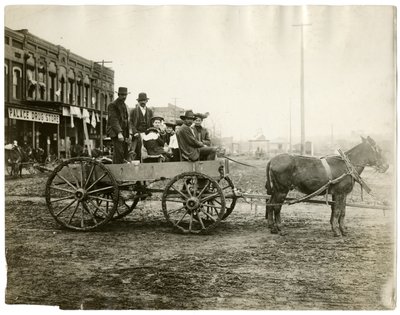 Arkansas von Jessie Tarbox Beals