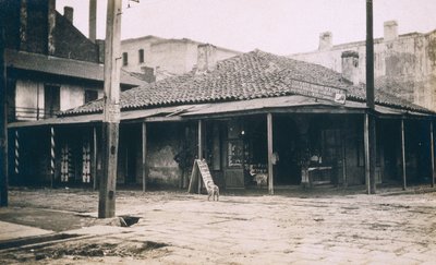 New Orleans von Jessie Tarbox Beals