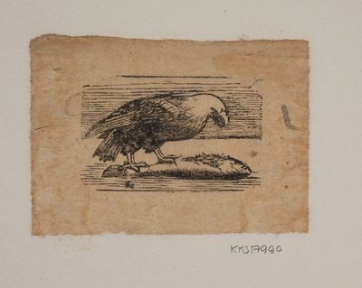 Ein Adler von Joakim Frederik Skovgaard
