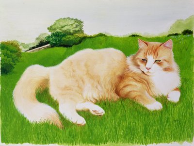Roter Kater im Feld von Joan Freestone