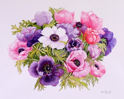 Anemonen von Joan Thewsey