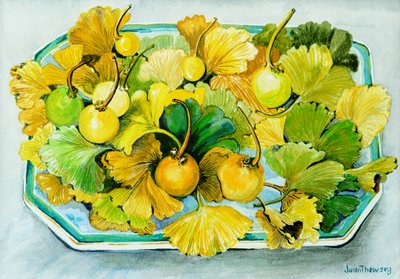 Ginkgo, Früchte und Blätter von Joan Thewsey