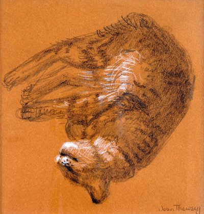 Schlafende getigerte Katze, 2005 von Joan Thewsey