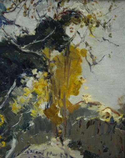 Baum von Joaquim Mir i Trinxet