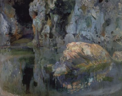 El roc de l’estany von Joaquim Mir i Trinxet